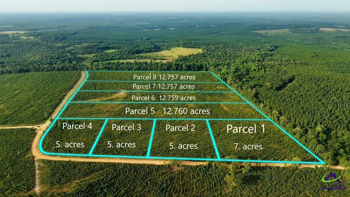 PARCEL 2 WHIPPORWILL ROAD, REYNOLDS, GA 31076, photo 1 of 21